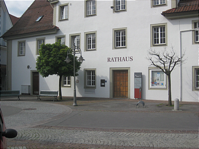 Rathausbaum